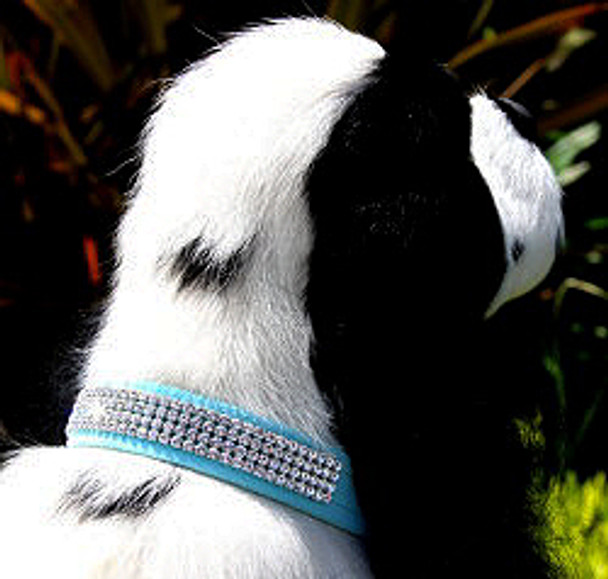Wide 4 Row Giltmore Dog Collar - Susan Lanci