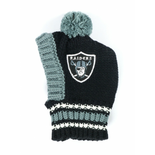 NFL Oakland Raiders Knit Dog Ski Hat