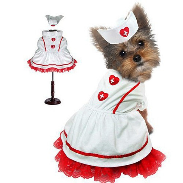 Image of the Sweetheart Nurse Pet Dog Costume on a small yorkie