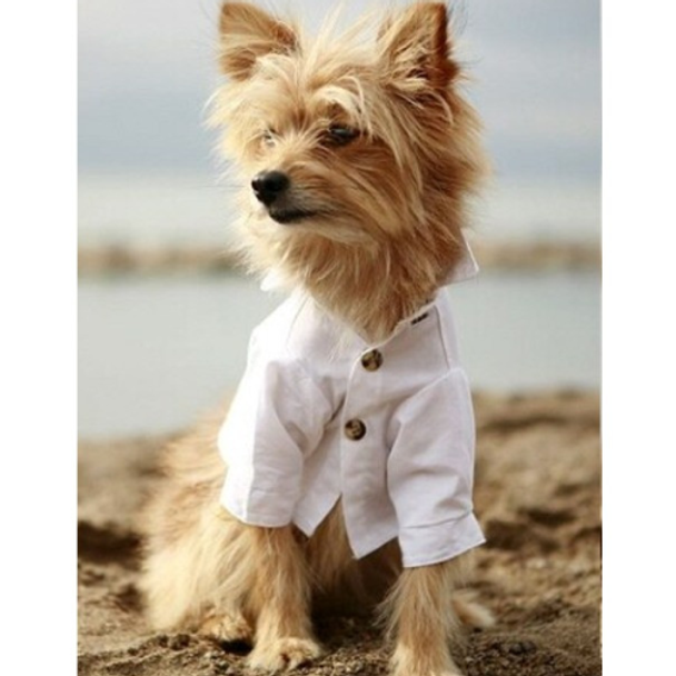 White Cotton Club Dog Shirt