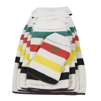 Glacier National Park Pendleton Dog Coat