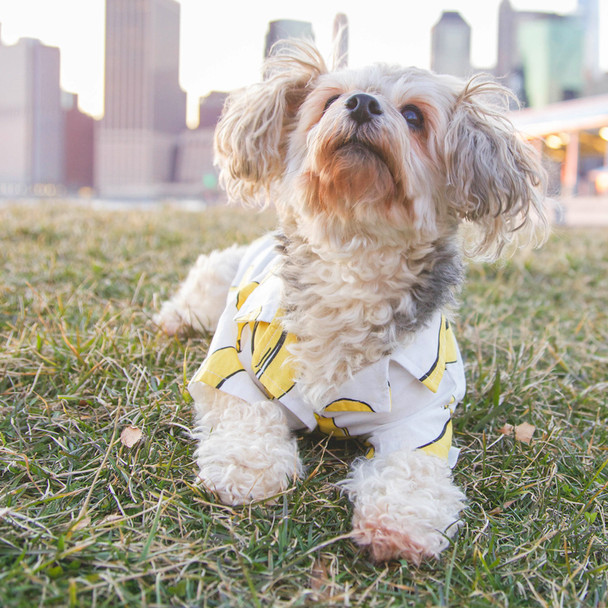 dog banana shirt