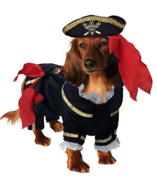 Buccaneer Pirate Pet Dog Costume