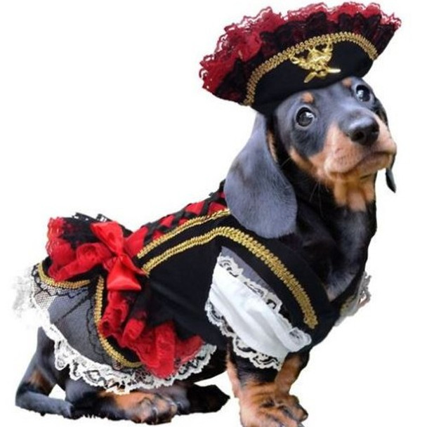 Swashbuckler Pirate Girl Pet Dog Costume