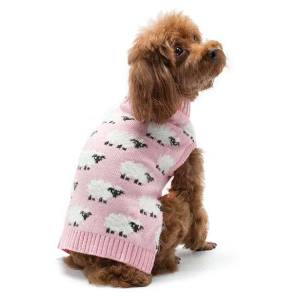 dog sheep sweater