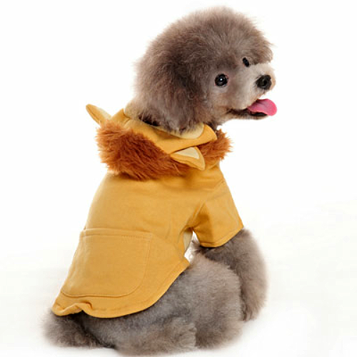 Lion King Dog Sweatshirt / Costume