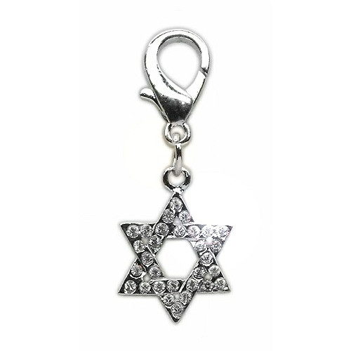 Star of David Rhinestone Dog Collar Charms - Lobster Claw