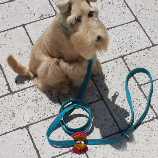 Isabella Bow Dog Leash - Susan Lanci