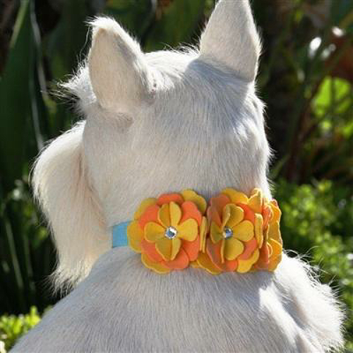 Darla Flowers Dog Collar