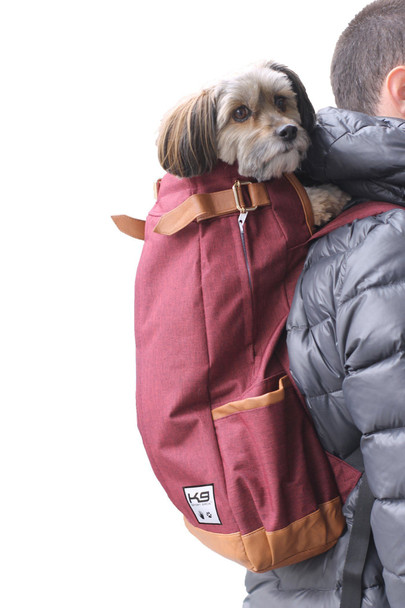 Urban Pet Backpack Carrier - Maroon Red