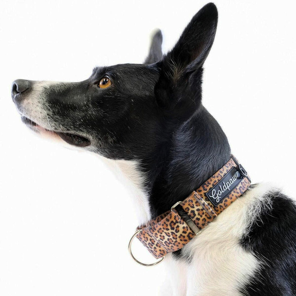 Standard Dog Martingale Collar - Leopard