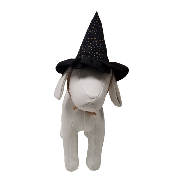 Witch Hat Costume