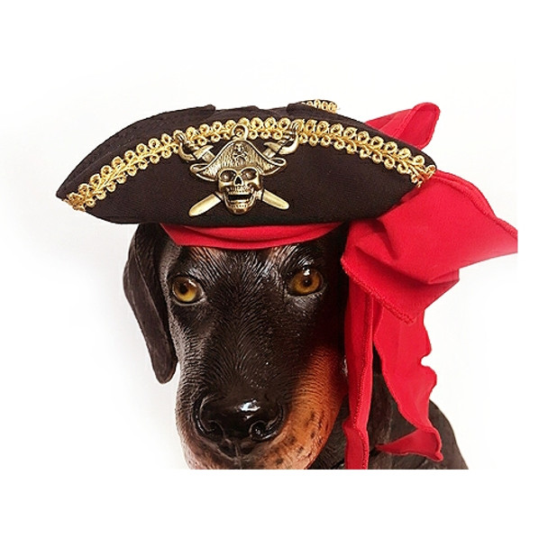 Buccaneer Pirate Costume Pet Dog Hat
