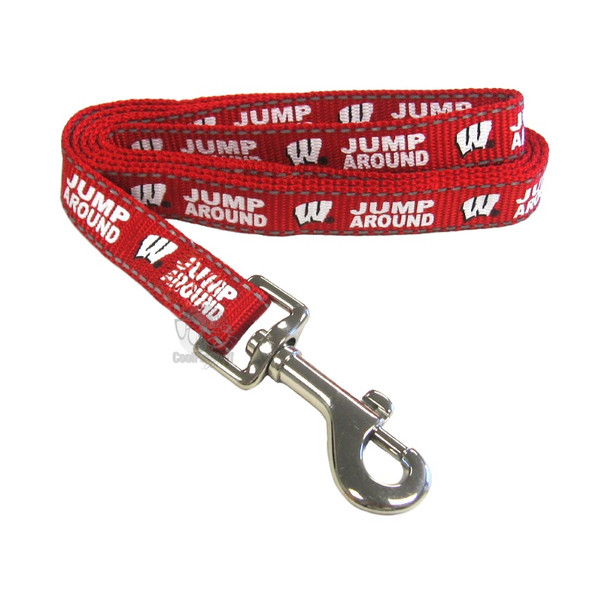 Wisconsin Badgers Pet Reflective Nylon Leash