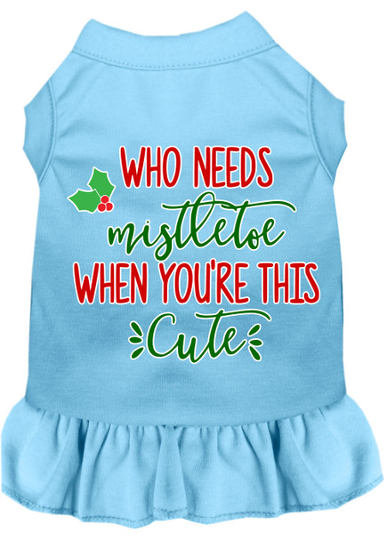Who Needs Mistletoe Screen Print Dog Dress Baby Blue