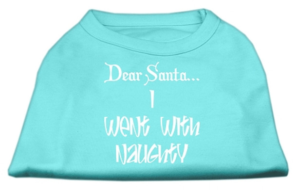 Dear Santa I Went With Naughty Screen Print Shirts - Aqua