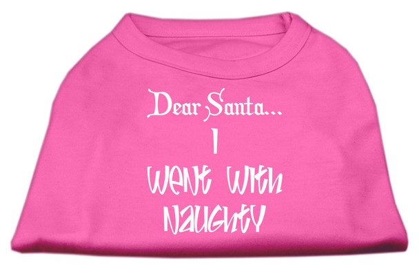 Dear Santa I Went With Naughty Screen Print Shirts - Bright Pink