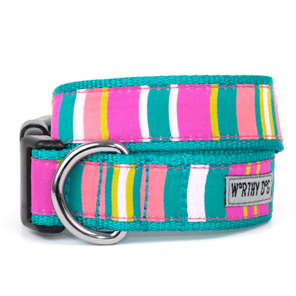 Fiesta Pet Dog Collar & Optional Lead