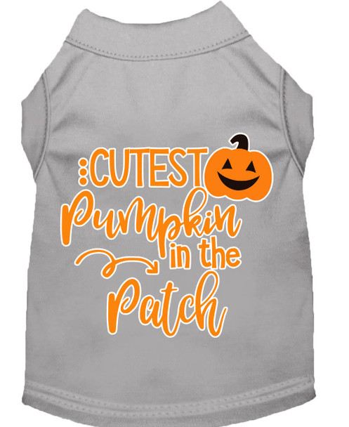 Mirage Pet Cutest Pumpkin In The Patch Screen Print Dog Shirt - Grey