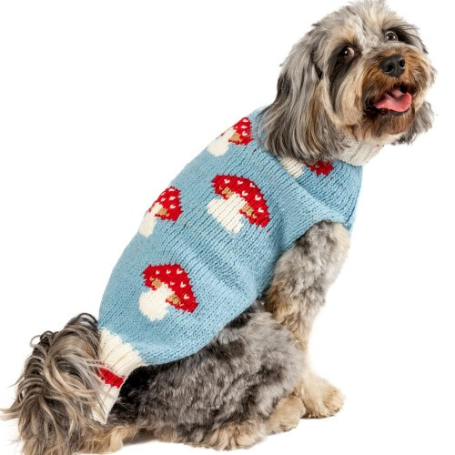 Mushroom Wool Dog Sweater