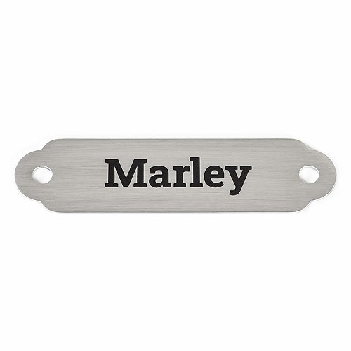Nameplate or Charm