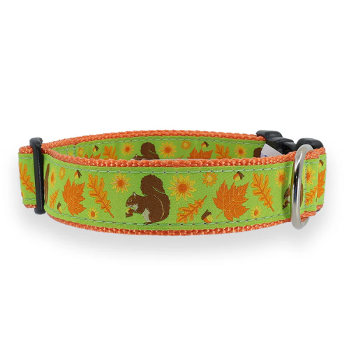 Squirrel and Nuts - 3/4 & 1.25 inch Dog Collar, Harness