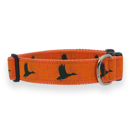 Orange Duck - 3/4 & 1.25 inch Dog Collar, Harness