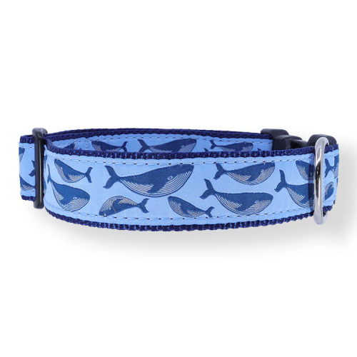 Humpback Whale on Blue - 3/4 & 1.25 inch Dog Collar, Harness