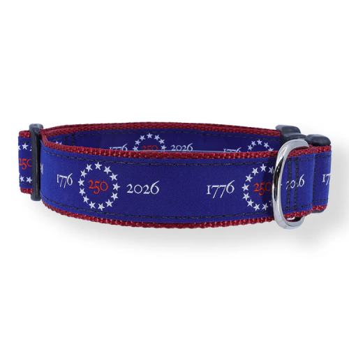 America 250 - 3/4 & 1.25 inch Dog Collar, Harness