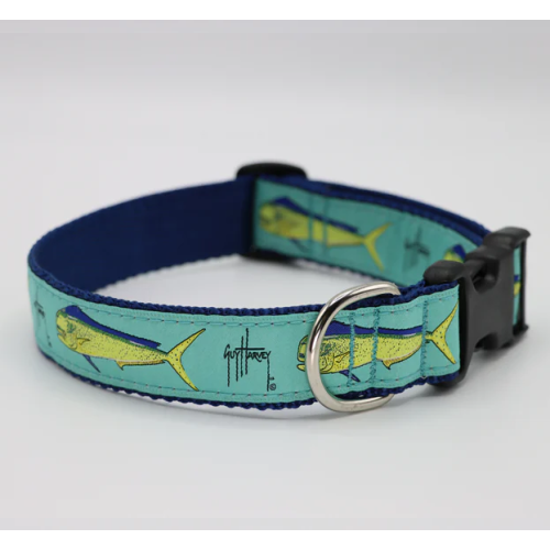 Dog Collar - Bull Dolphin -  3/4 & 1 1/4