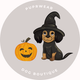Pet Dog Costumes