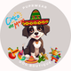 Cinco de Mayo Toys