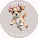 Dog Hair Accessories