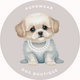 Dog Necklaces