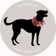 Smoochers / Party Collars