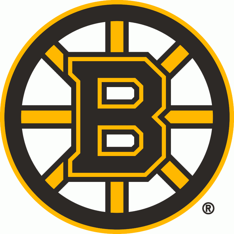 Boston Bruins Dog Jerseys, Bruins Pet Carriers, Harness, Bandanas
