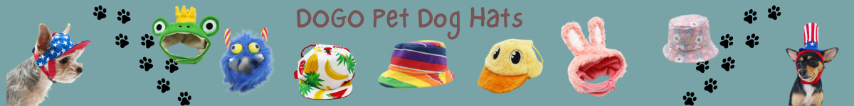 Fun pet dog hats, from cute animals to summer visors to protect their eyes from the sun, to bucket hats.