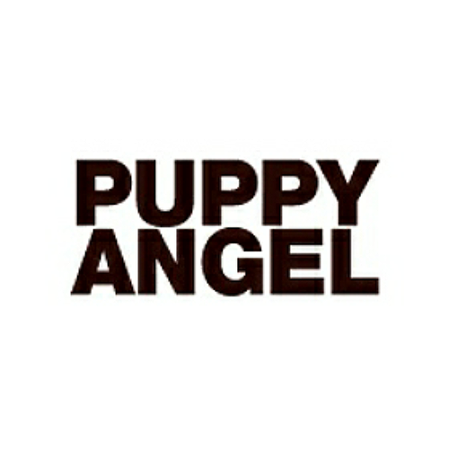 Puppy Angel