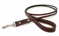 Rolled leather martingale dog collar for training.