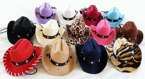 Dog Cowboy Hats for small pets 