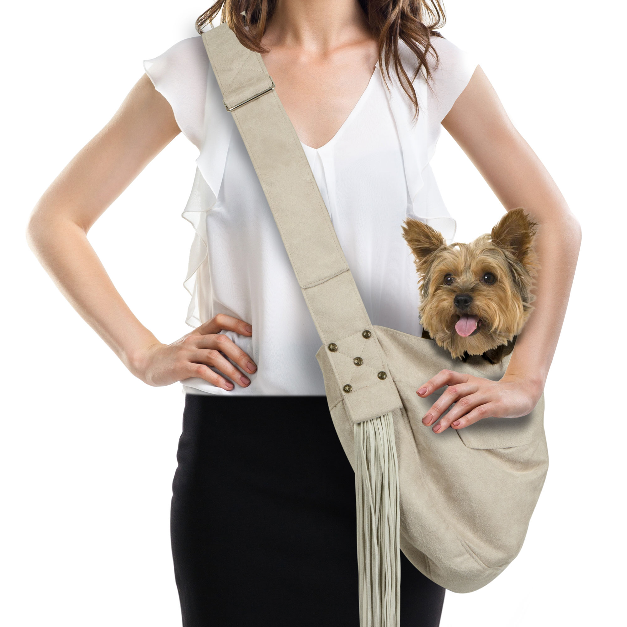 custom dog carrier