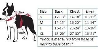 2010nflsizechartsmall.jpg