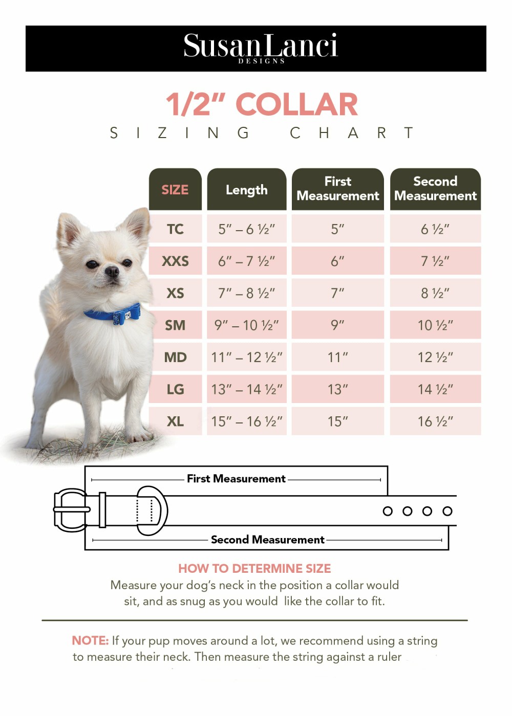 collar-size-chart-2021.jpg