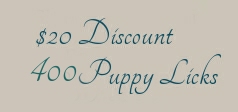 discount-20-1.jpg