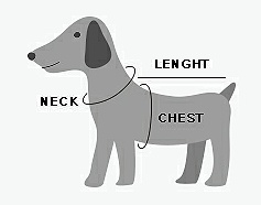 dog-measuring.jpg