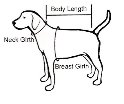 dogsizing-2-.jpg