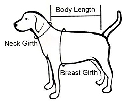 dogsizing-250.jpg