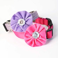 feminine-dog-collar-flowers-200.200.jpg