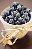 image-blueberries-100.jpg