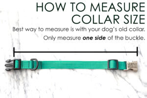 measure-300x200.jpg